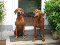 BESI und ANGELA (Tochter mit Mutti)