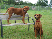 BESI und ANGELA (Tochter mit Mutti)